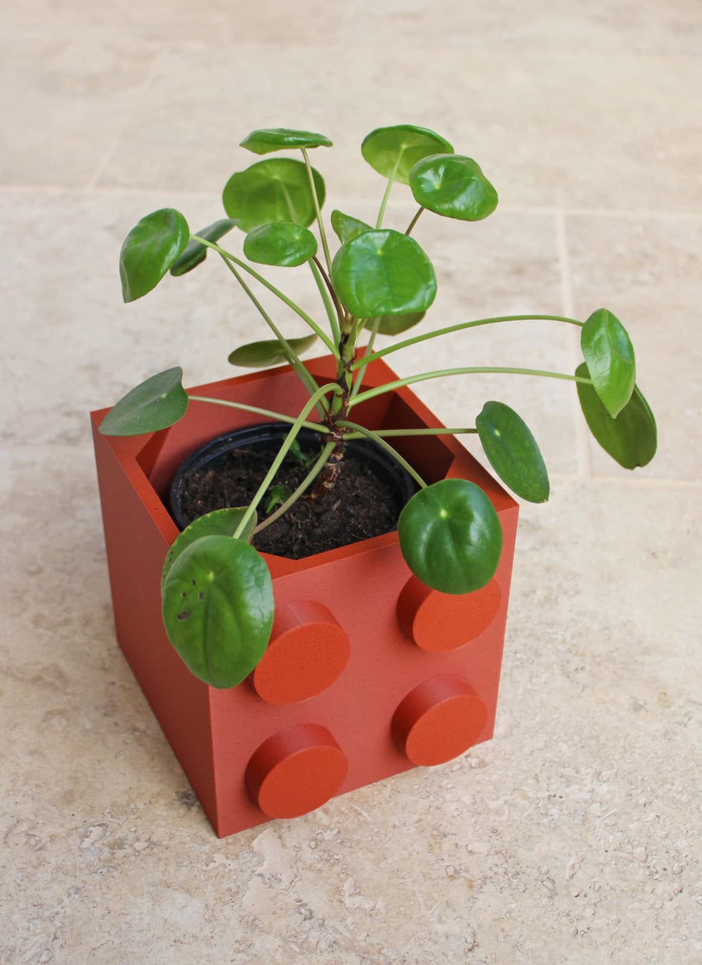 KUBRIK XL